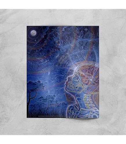 Alex grey特大フレーム額縁付き Alex grey特大フレーム額縁付き Alex Grey – CoSM Shop